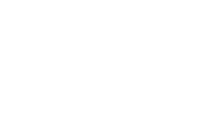 リノデュース