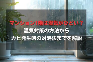 マンション1階は湿気がひどい？湿気対策の方法からカビ発生時の対処法までを解説